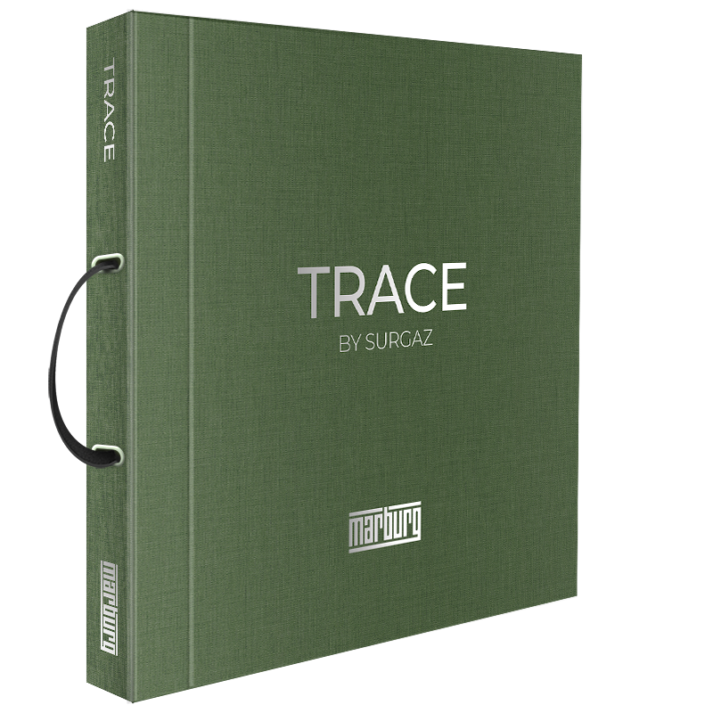 След/Trace